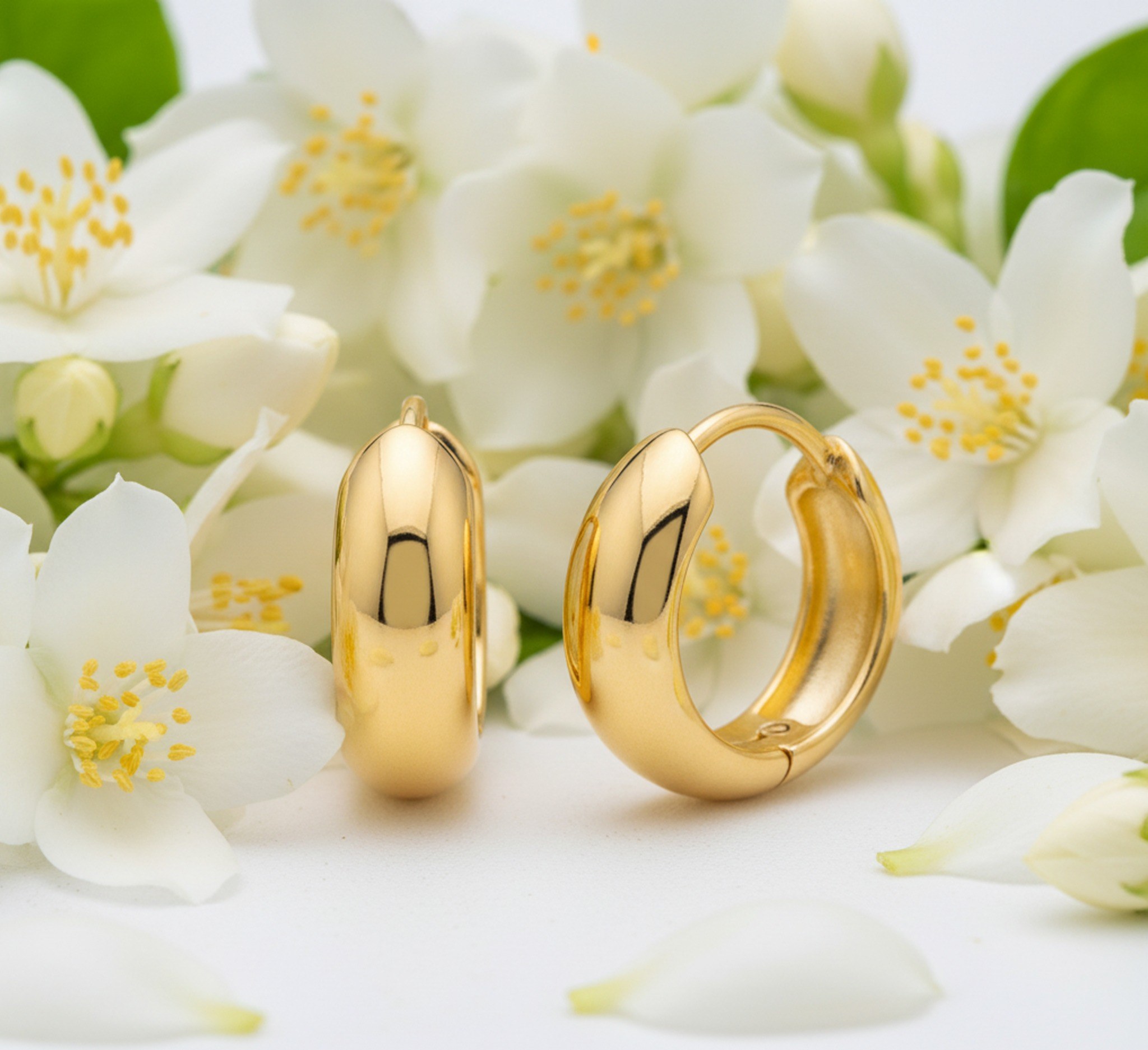 Earring Hoop